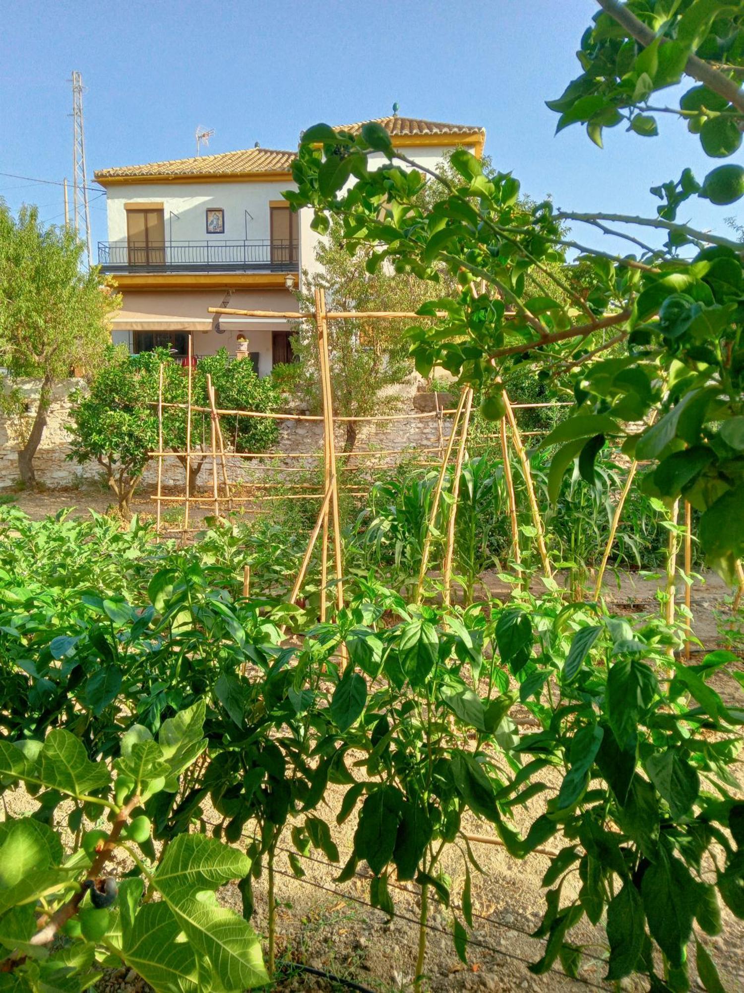 Villa Tuguest Hortichuela House Ugijar Esterno foto
