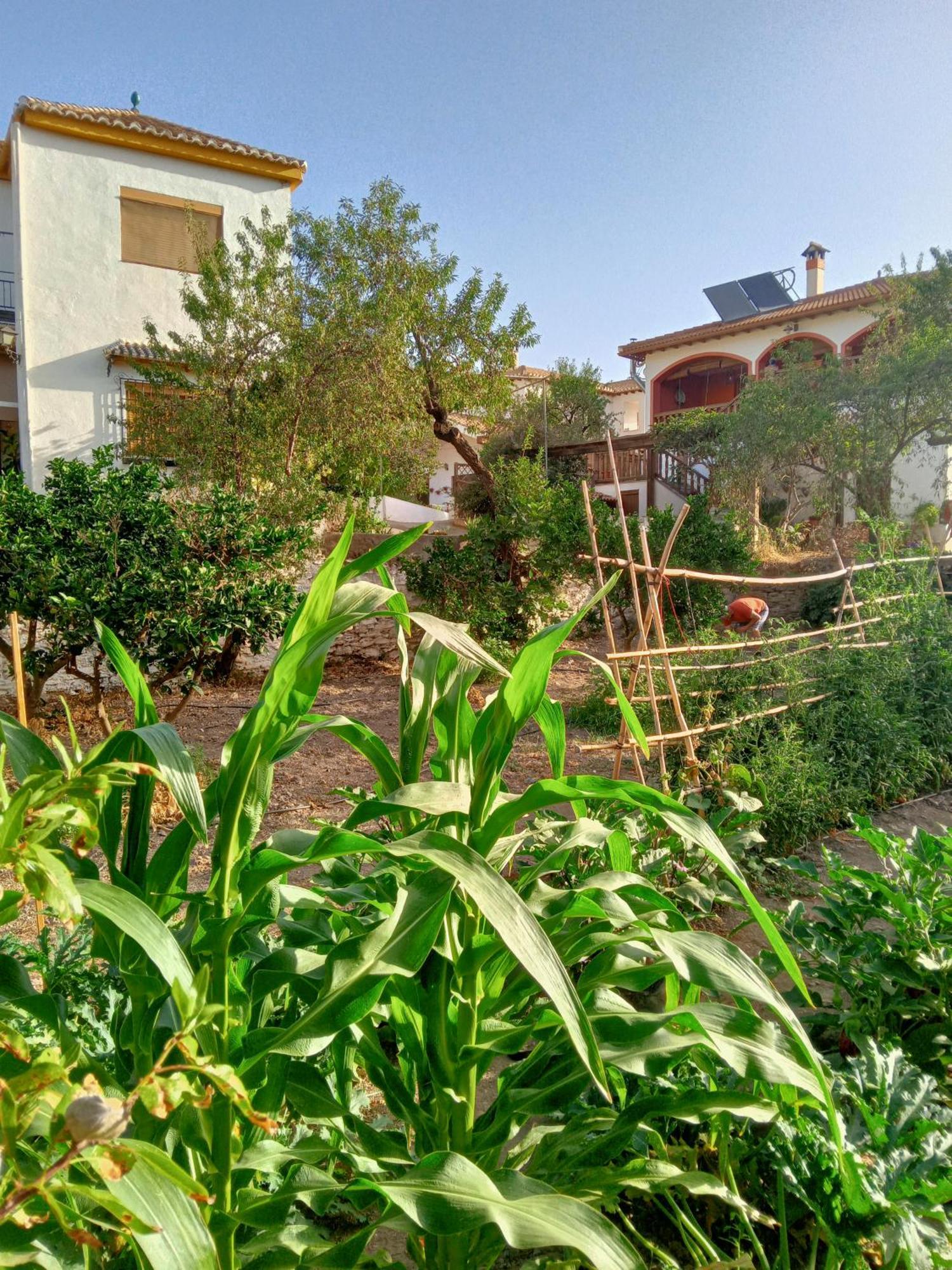 Villa Tuguest Hortichuela House Ugijar Esterno foto